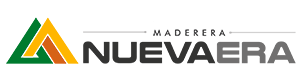 logonuevaera2